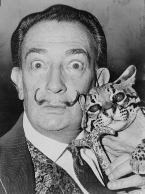 salvador dali